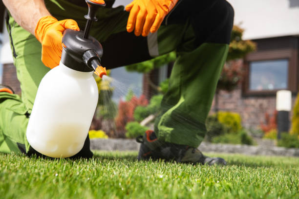 Best Pest Prevention Services  in West Babylon, NY