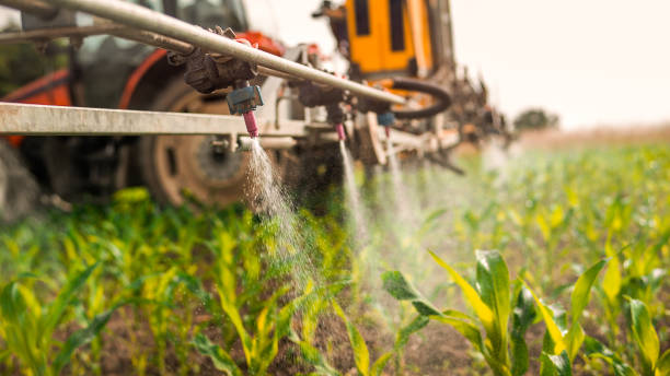 Reliable West Babylon, NY Pest Control Solutions